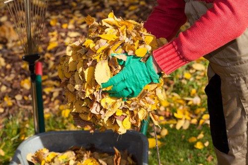 Expert providing clearance advice in Borehamwood